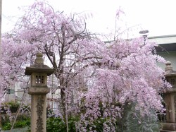 住吉大社