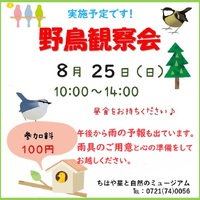 8月25日の野鳥観察会について