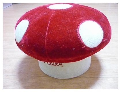 きのこ １。