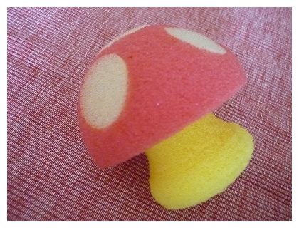 きのこ ２９。