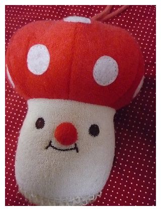 きのこ ３９。