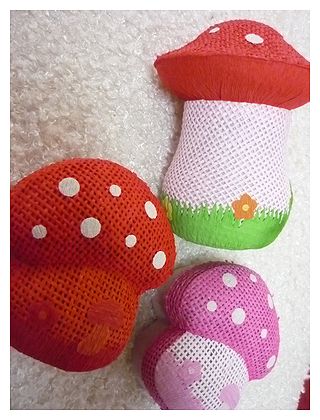 きのこ ４８。