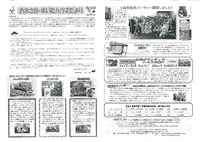2010年11月19日