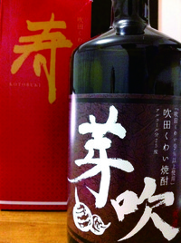 2010年12月28日