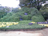 大坂城の菊の祭典