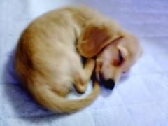 可愛ぃぃぃぃ(*＞ｗ＜*)♪ 