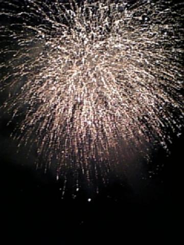 ☆寝屋川祭り 2☆
