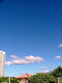 吹かれて撮る