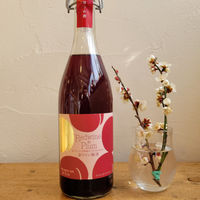 梅の季節の梅見酒に！ カタシモワイナリー 赤ワイン梅酒