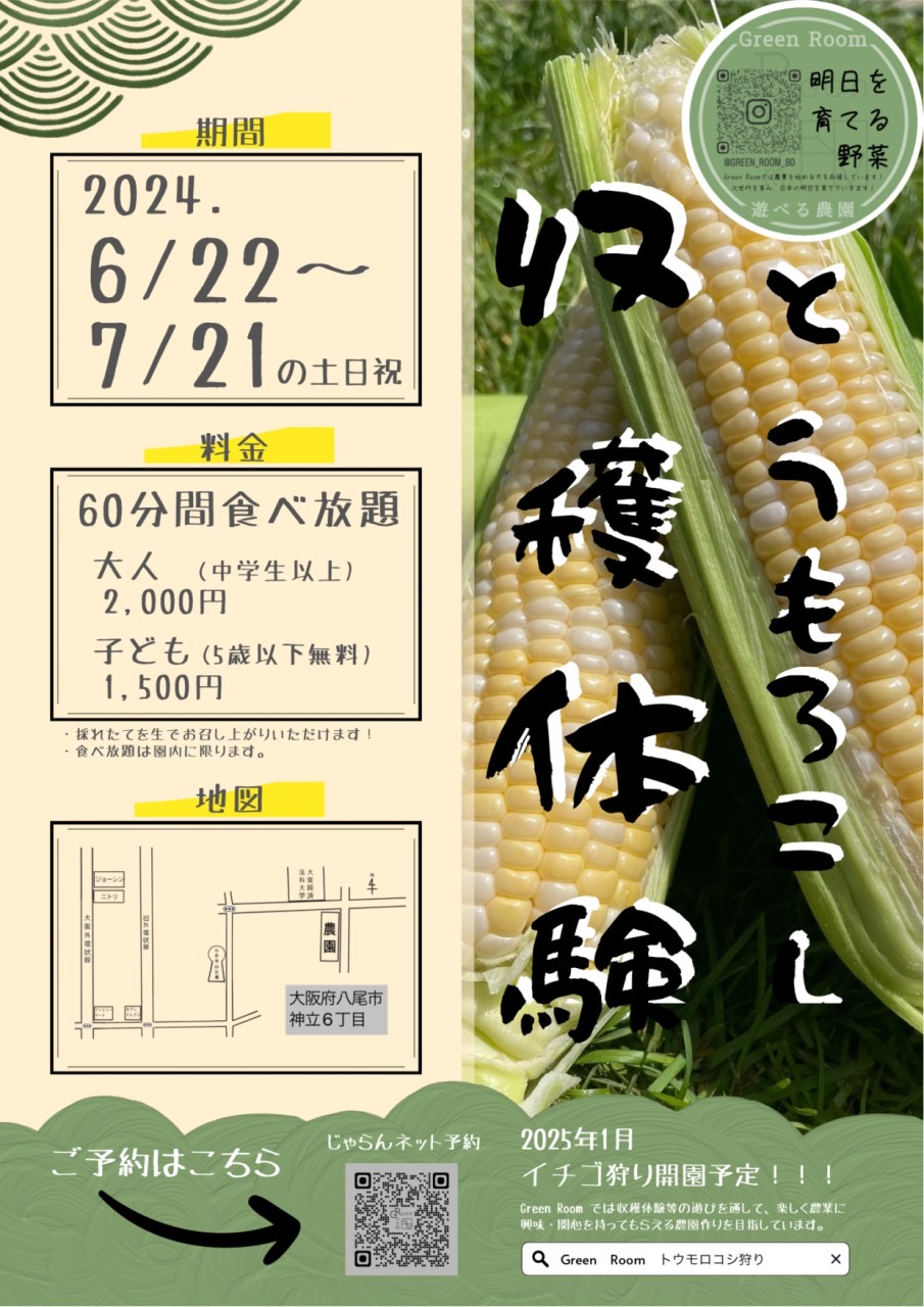 6/22(土)～7/21(日)　遊べる農園Green Roomのとうもろこし狩り