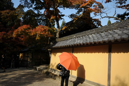 秋と傘