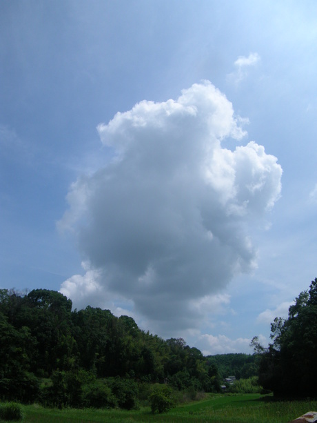 夏が、きた。