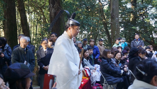 大嘗祭に向けて最初の儀式、亀卜に使う波波迦採木式を参観