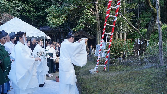 大嘗祭に向けて最初の儀式、亀卜に使う波波迦採木式を参観