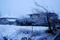 千里山は雪景色