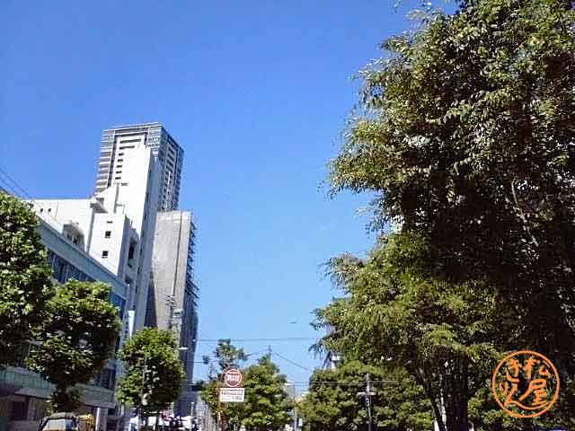 梅雨の晴れ間