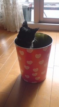 ひなたぼっこ