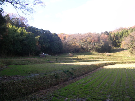 １２月１８日(日）土運びつづき