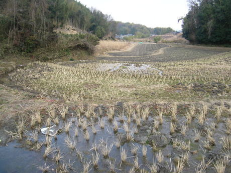 １月９日（月）田んぼ、事始め