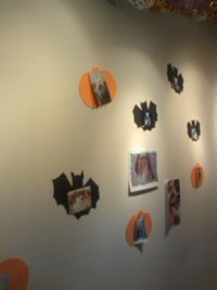 ペット写真展