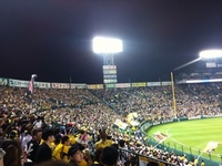 阪神タイガースの応援