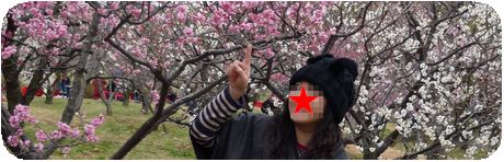 桜より存在感薄いけど春先には私も咲いてるのよ。