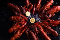 「Addicted to Lobster! （アディクテッド トゥ ロブスター）」 フライデーディナービュッフェ 2019/07/03 17:39:15