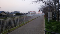 桜のつぼみを確かめに八幡市の背割堤まで。まだまだです。