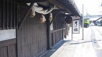 伏見の酒を買いにサイクリング