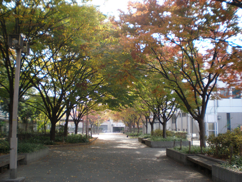 中津中央公園