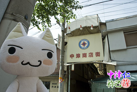 中津にネコ ４