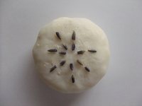 冬のせっけん