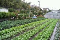 2012年10月23日