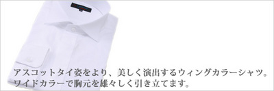 新郎タキシード靴まで付いてる9点セット