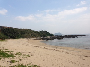あけましておめでとうございます。