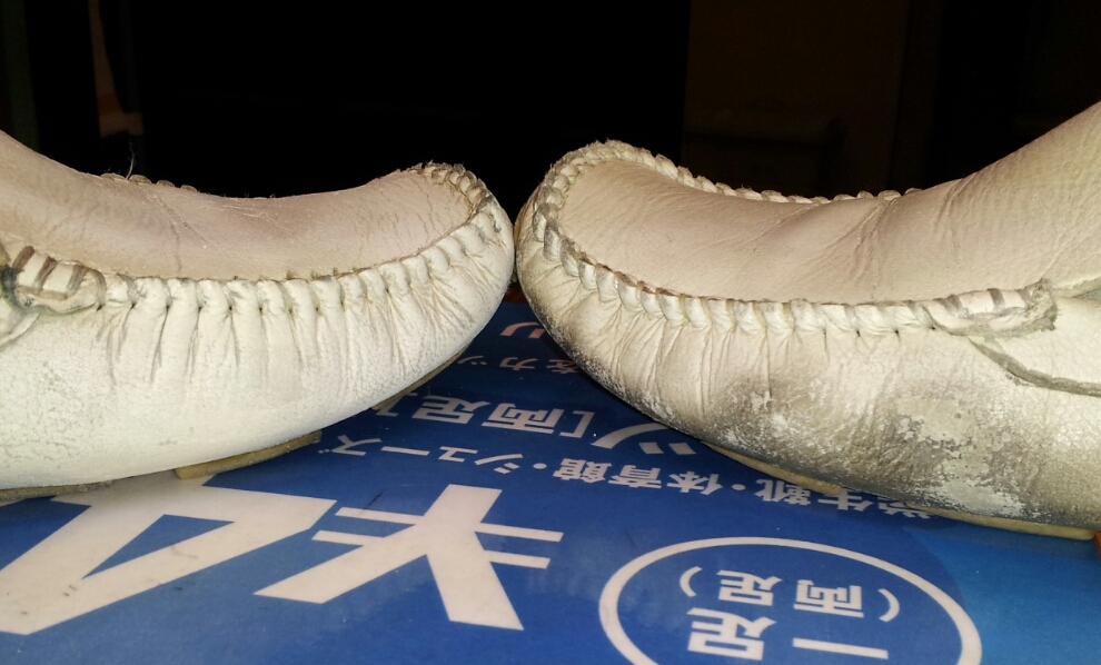 よろしくお願いします！