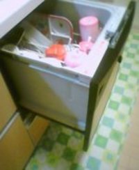 こいつと私