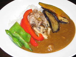 Ｂグル号探検記マガジン　「変わりカレー」