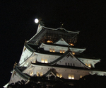 大阪ブルー秀吉