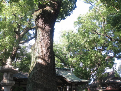 天神ノ森天満宮