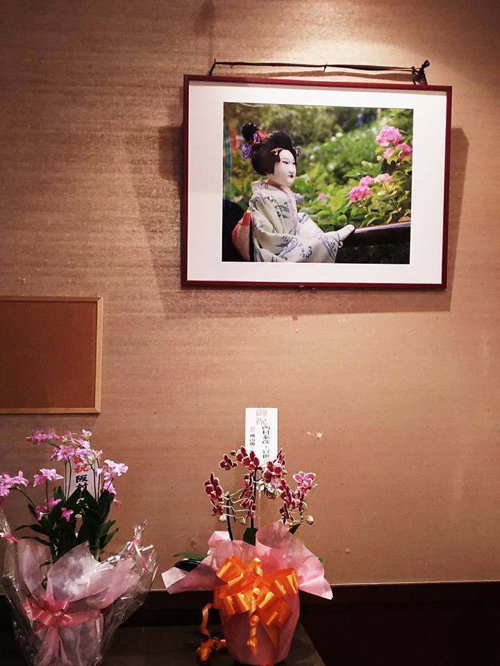 紫陽花４