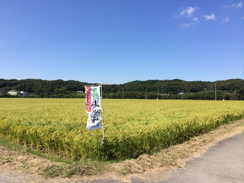 秋の田園