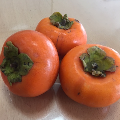 旬な果物