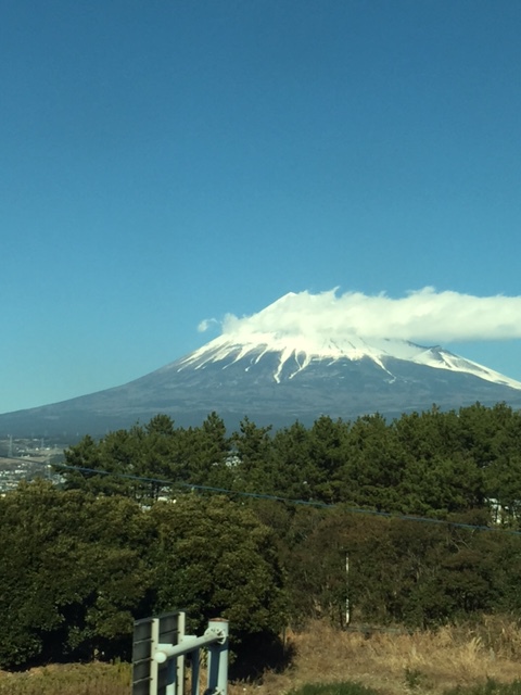◆初詣◆
