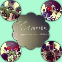 ハーブの寄せ植え大満足！