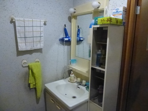 入替えました②