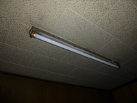 蛍光灯器具交換