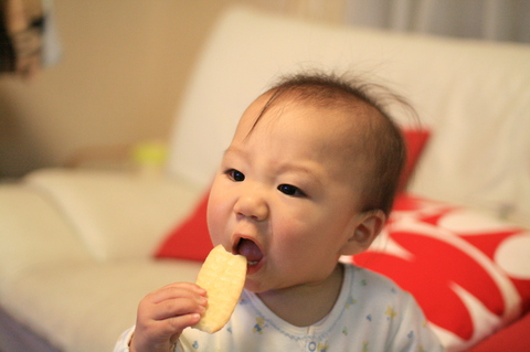 食べ盛り？