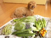 久し振りに・・・