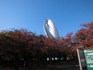 万博公園　紅葉